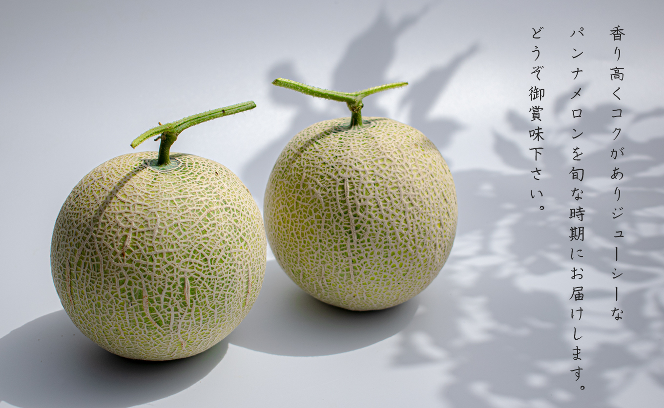 ãã³ãã¡ãã³ 2ç åžå° çã è³é ã¡ãã³ ãã«ãŒã æç© æ¿å ç£å°çŽé æ°ééå® å³éž ã®ãã èŽççš èŽãç© ãã¬ãŒã³ã ãäžå
ãæ³æ® ãè€çŸ ããã ã±ããªããã ææ±ãã£ã·ã æè æå® ç³åºŠ äººæ° æ¬ å€ ãã¶ãŒã