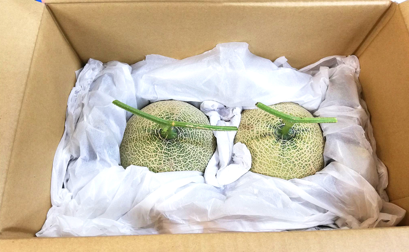 ãã³ãã¡ãã³ 2ç åžå° çã è³é ã¡ãã³ ãã«ãŒã æç© æ¿å ç£å°çŽé æ°ééå® å³éž ã®ãã èŽççš èŽãç© ãã¬ãŒã³ã ãäžå
ãæ³æ® ãè€çŸ ããã ã±ããªããã ææ±ãã£ã·ã æè æå® ç³åºŠ äººæ° æ¬ å€ ãã¶ãŒã