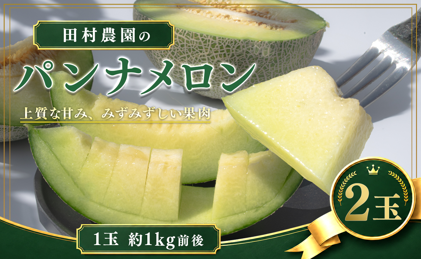 パンナメロン 2玉 （1玉約１kg前後）希少 甘い 芳醇 メロン フルーツ 果物 濃厚 産地直送 数量限定 厳選 ギフト 贈答用 贈り物 プレゼント お中元 お歳暮 ご褒美 めろん ぱんなめろん 果汁たっぷり 果肉 果実 糖度 人気 旬 夏 デザート