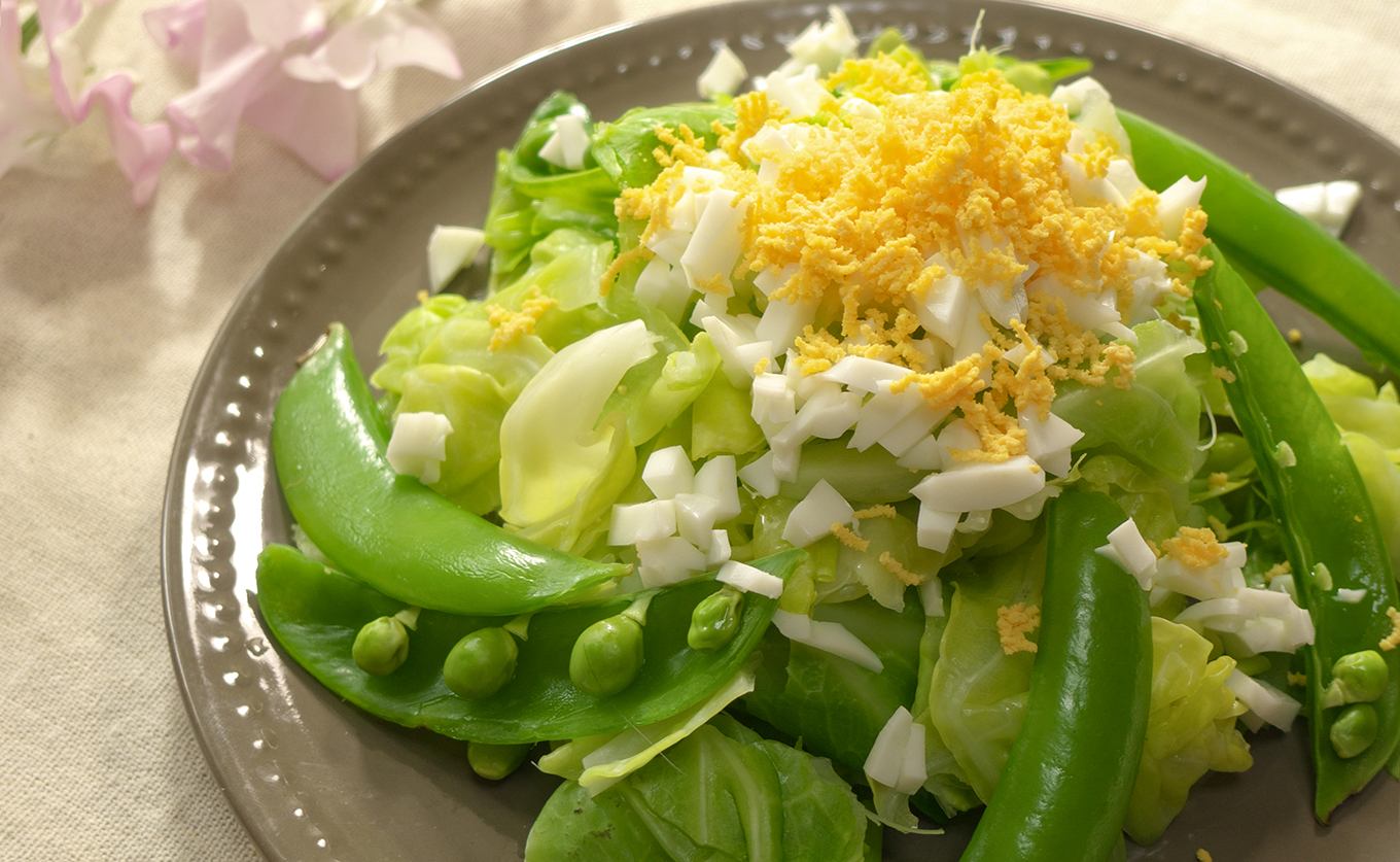 スナップエンドウ 800g 豆 えんどう｜スナップえんどう 産地直送 新鮮野菜 旬の春野菜 採れたて 厳選 甘い ハウス サラダ 天ぷら お弁当 彩り みずみずしい フレッシュ 季節 農家応援 生産者応援 家庭用 おいしい 旬 健康 高知県 大月町