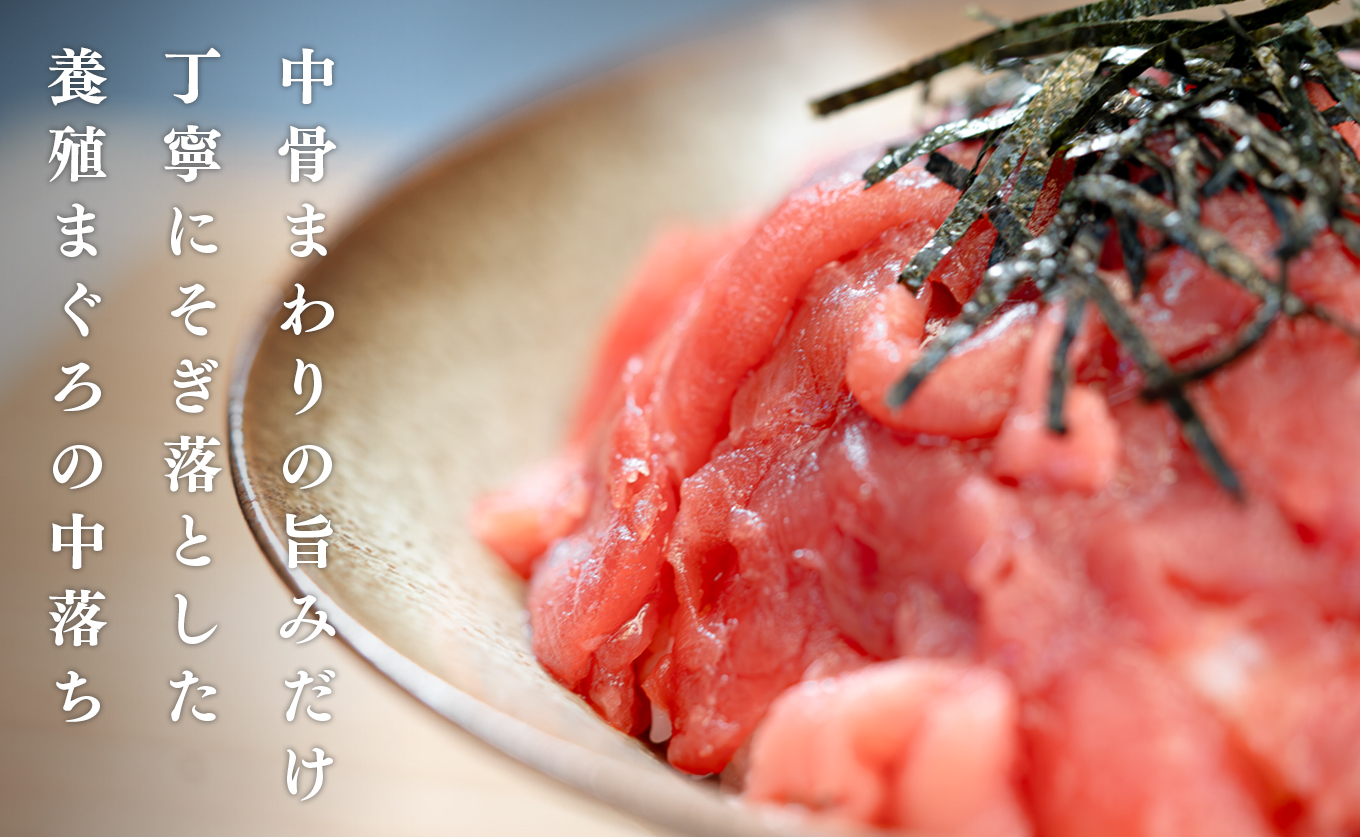 【12/23までの寄付で年内配送】 マグロ 中落ち まぐろ 200g｜本マグロ 本まぐろ 鮪 刺身 さしみ 刺し身 ネギトロ ねぎとろ まぐろたたき 年末 年始 正月 贅沢 おもてなしセレクション 金賞 受賞 ランキング 人気 高知県 大月町