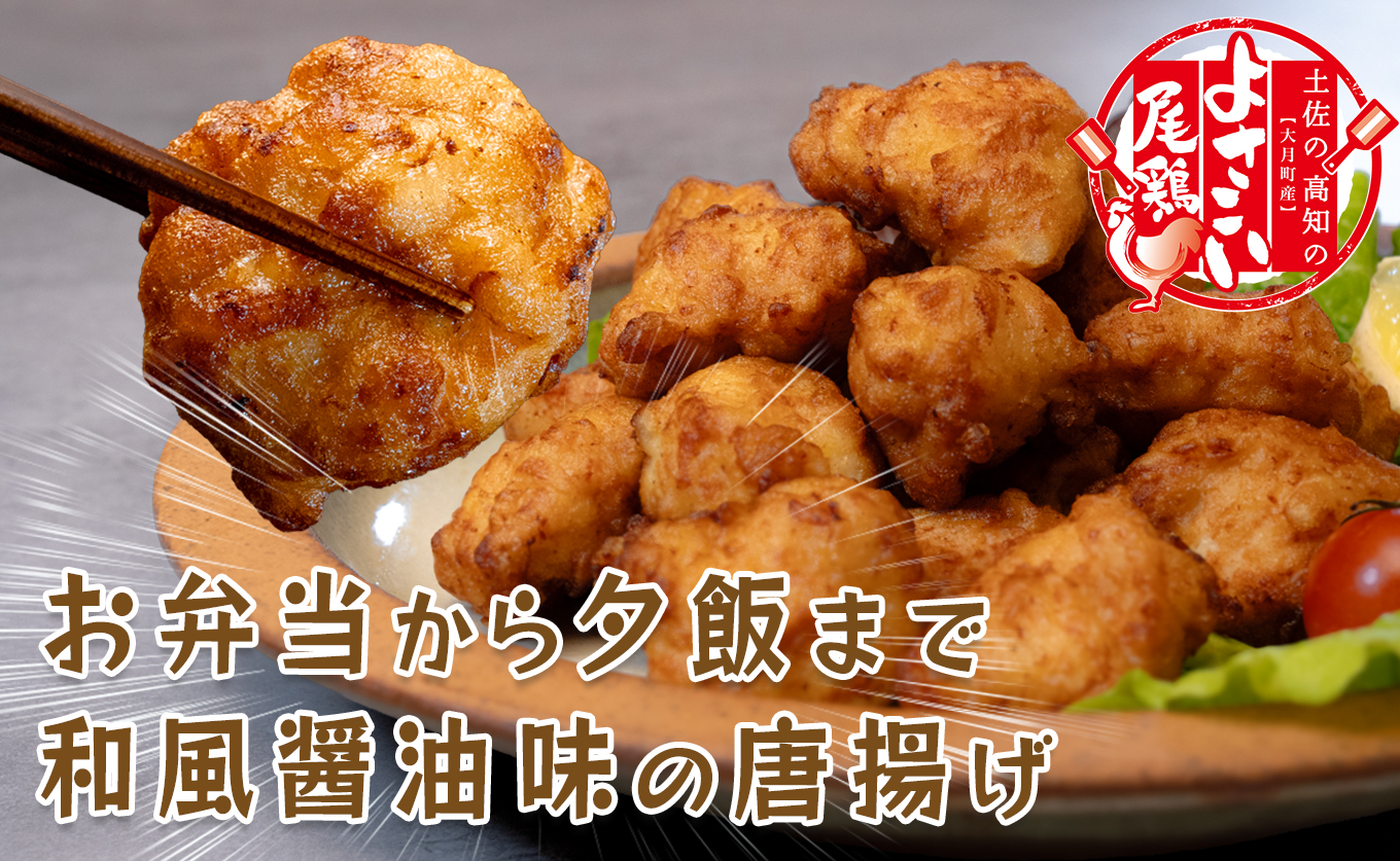 国産 よさこい尾鶏 鶏肉 和風しょう油唐揚げ 500g 国産鶏肉 レンチン レンジ 冷凍 簡単調理 時短調理 タイパ おかず お弁当 晩ごはん おつまみ 惣菜 人気 セット チキン 唐揚げ 高知県 大月町産