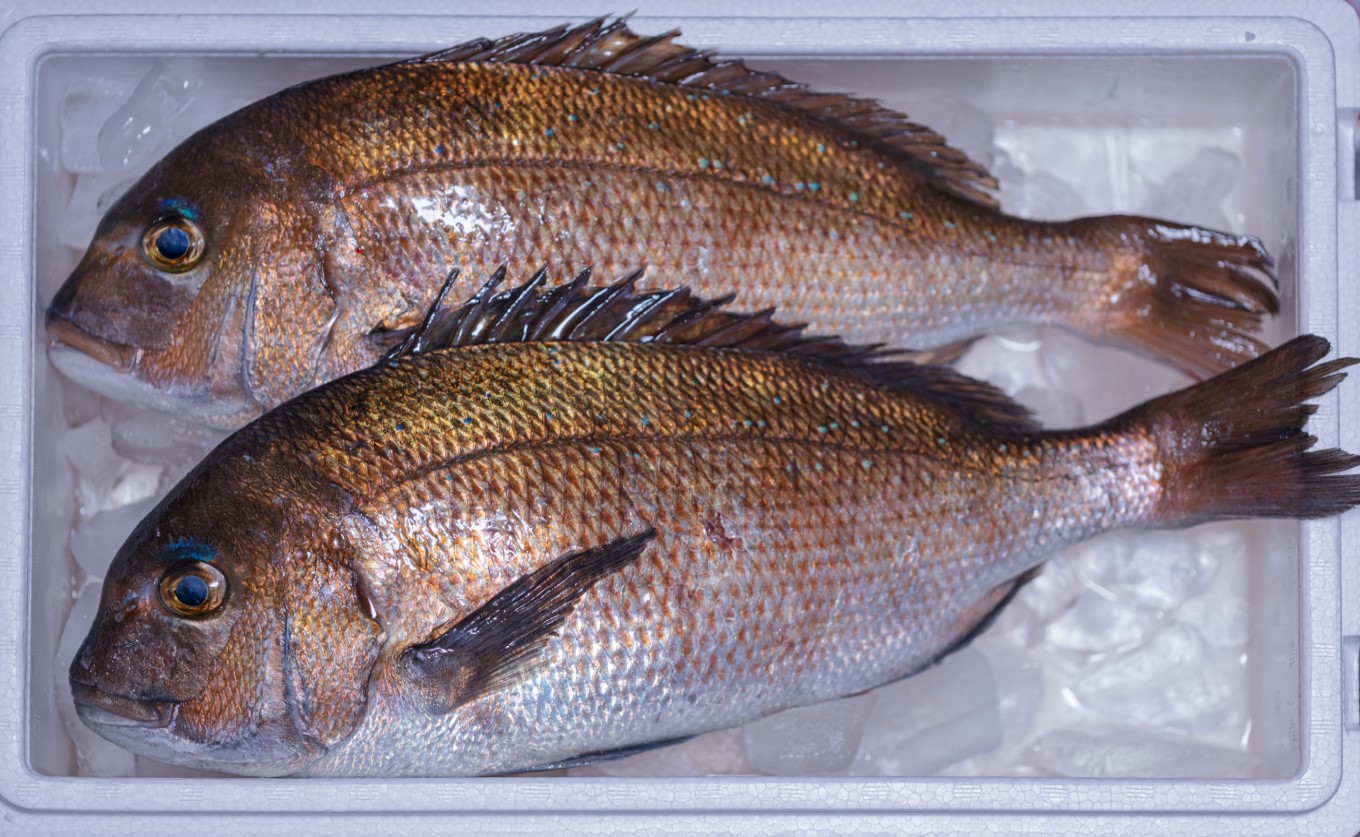 鯛丼の素 2食セット 真鯛 漬け丼 特製タレ 養殖 鯛 タイ たい 海鮮 魚介 海の幸 冷凍 真空パック 小分け お取り寄せ 贈答用 海鮮丼 鯛茶漬け お茶漬け 刺身 高知 大月町 柏島 谷鮮魚食堂