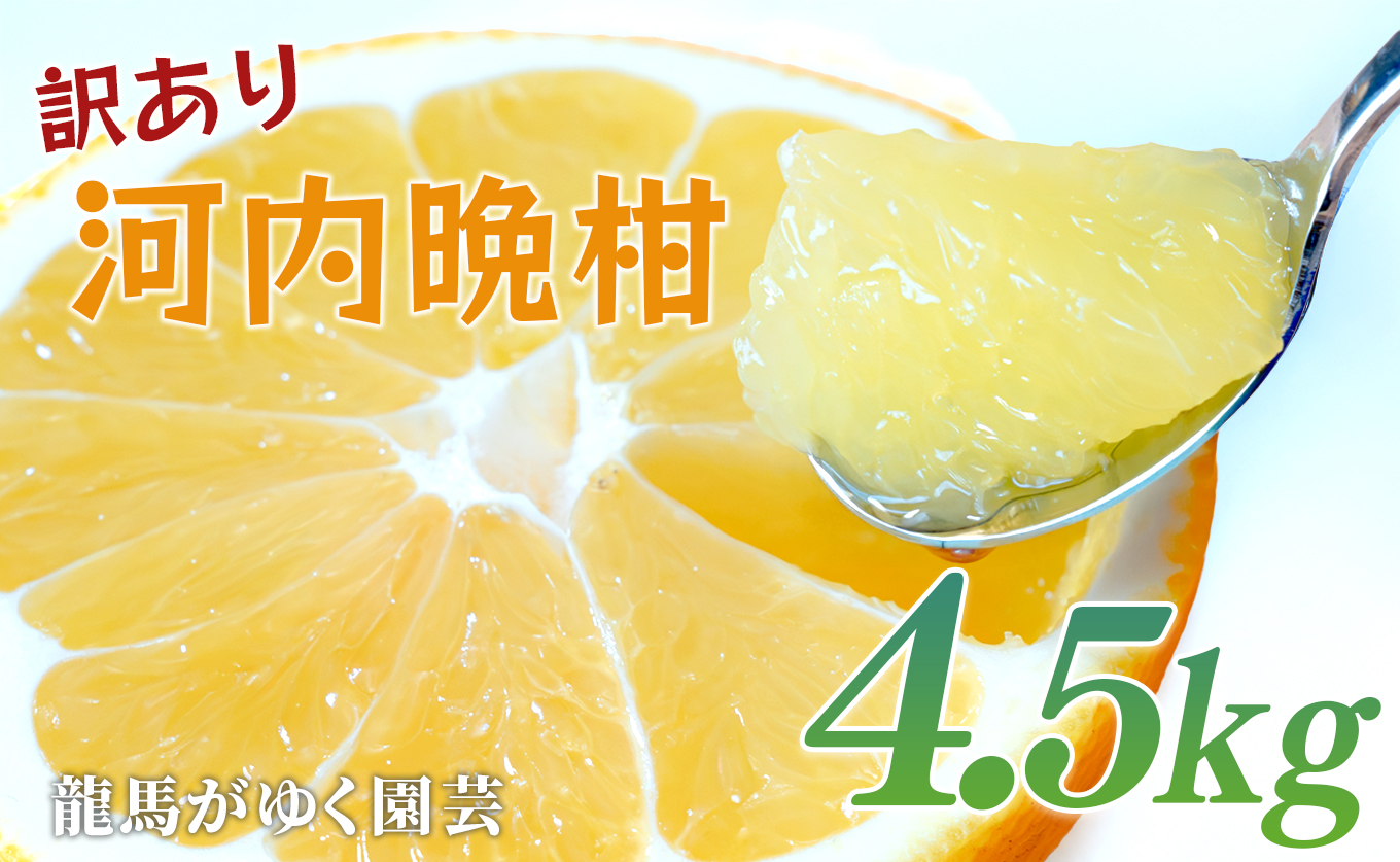 【訳あり】 河内晩柑 4.5kg （M～5L） ばんかん 晩柑 バンカン 夏文旦 家庭用 みかん 蜜柑 柑橘 フルーツ 果物 サイズミックス 初夏 夏 ジュース お酒 お取り寄せ ビタミン 高知県 大月町 龍馬がゆく園芸