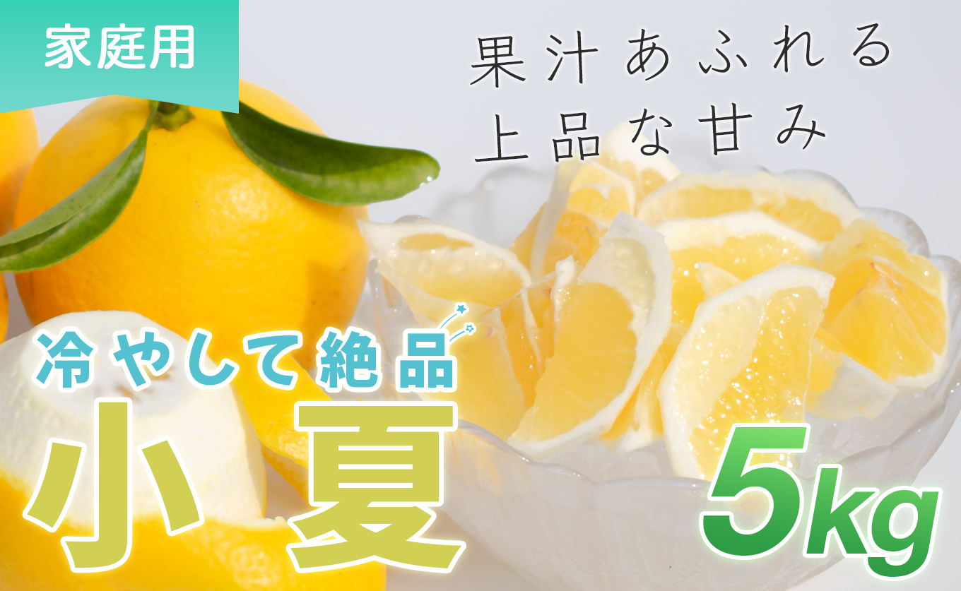 小夏 5kg 家庭用 日向夏 ニューサマーオレンジ 柑橘 みかん ノーワックス こなつ くだもの 果物 産直 旬の果物 お取り寄せ 産地直送 フルーツ 爽やか スッキリ 甘い 高知県 大月町産 コーラルフルーツ農場