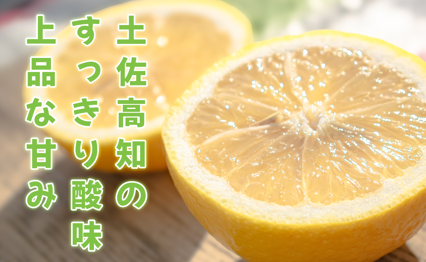 小夏 3kg 家庭用 日向夏 ニューサマーオレンジ 柑橘 みかん ノーワックス こなつ くだもの 果物 産直 旬の果物 お取り寄せ 産地直送 フルーツ 爽やか スッキリ 甘い 高知県 大月町産 コーラルフルーツ農場