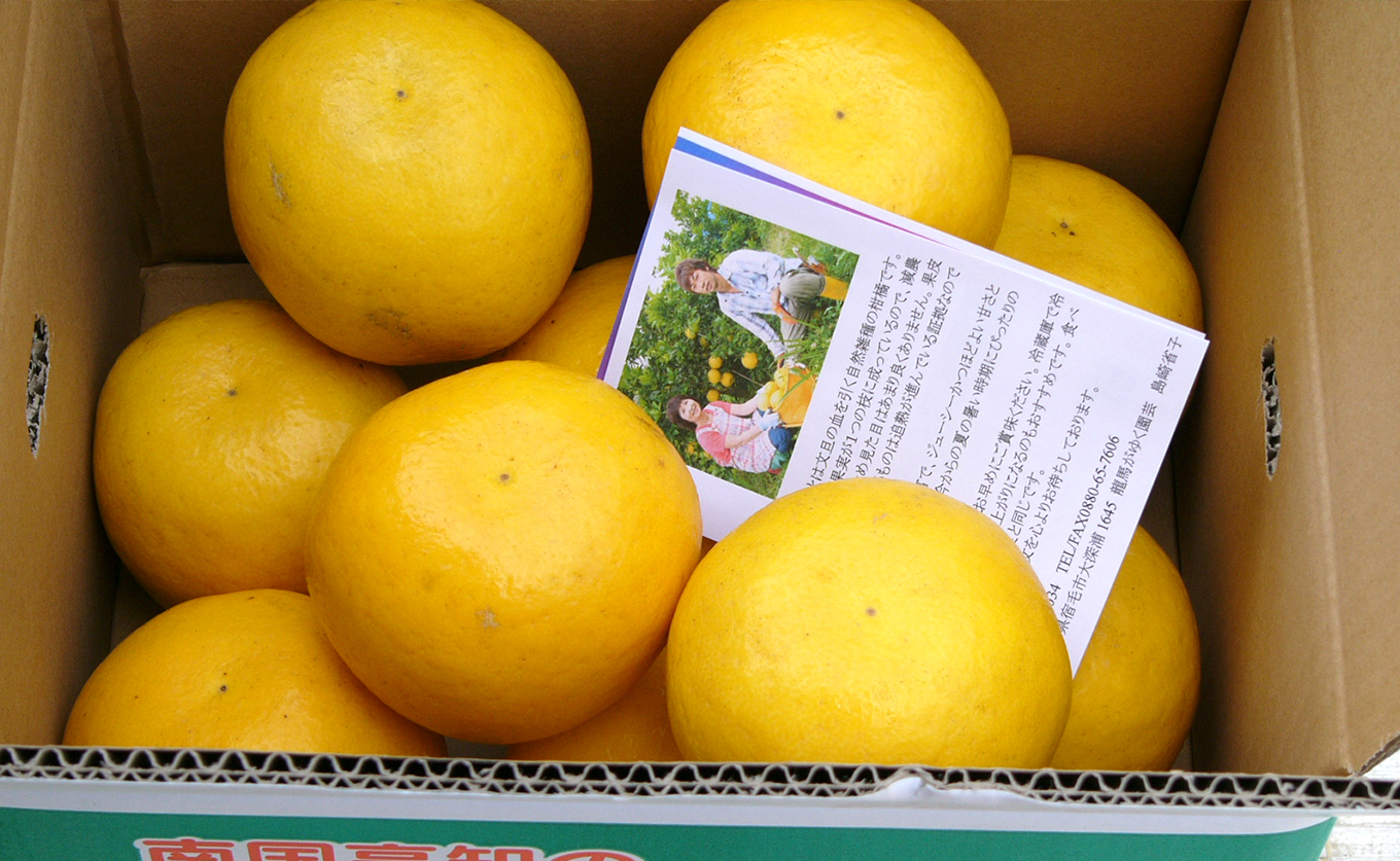 河内晩柑 4.5kg （M～5L） 【家庭用】 ばんかん 晩柑 バンカン 夏文旦  みかん 蜜柑 柑橘 フルーツ 果物 サイズミックス 初夏 夏 ジュース お酒 贈答用 ギフト お取り寄せ ビタミン 高知県 大月町 龍馬がゆく園芸