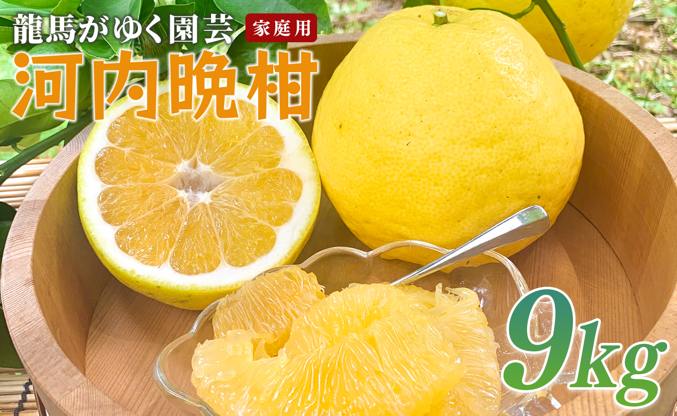 河内晩柑 9kg （M～5L） 【家庭用】 大容量 ばんかん 晩柑 バンカン 夏文旦 みかん 蜜柑 柑橘 フルーツ 果物 サイズミックス 初夏 夏 ジュース お酒 贈答用 ギフト お取り寄せ ビタミン 高知県 大月町 龍馬がゆく園芸