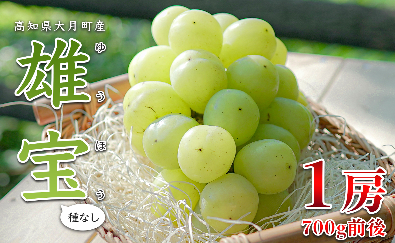 【2026年8･9月発送】大粒 ぶどう 種なし 雄宝 1房 (700g)  高級 ブドウ 葡萄 グレープ 数量限定 期間限定 先行予約 冷蔵 果物 くだもの フルーツ ギフト 贈答 甘い おすすめ 人気 新鮮 こだわり 松田ぶどう園 高知 大月町