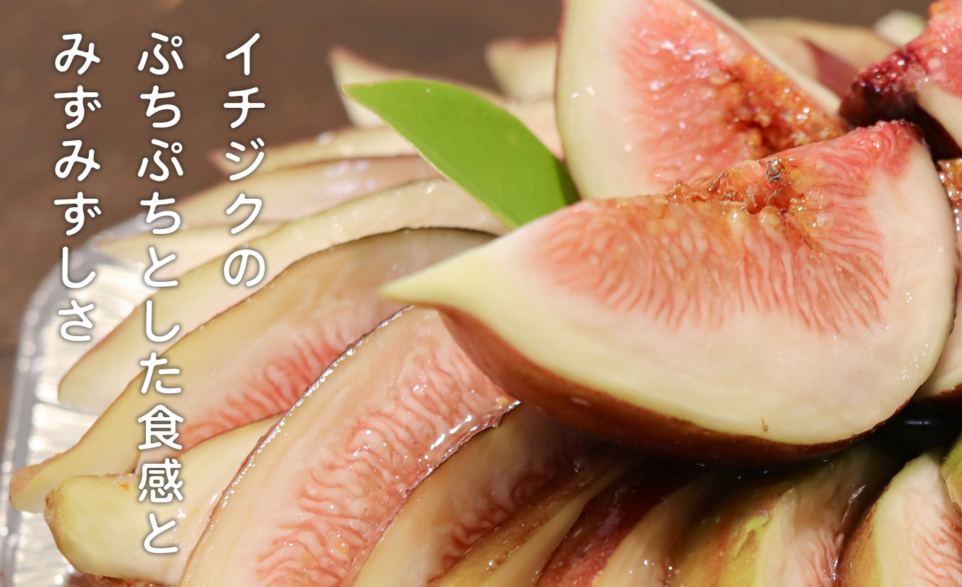 いちじくたっぷりレアチーズタルト イチジク レアチーズ タルト 季節限定 冷凍 冷凍スイーツ 洋菓子 お菓子 フルーツタルト 無花果 ギフト 贈答 ご褒美 高知県 大月町