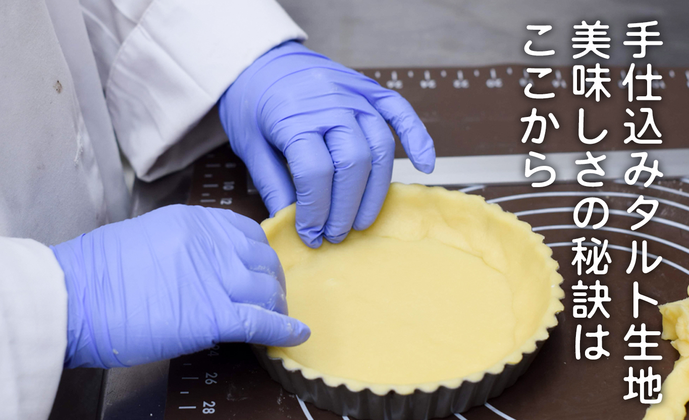 いちじくたっぷりレアチーズタルト イチジク レアチーズ タルト 季節限定 冷凍 冷凍スイーツ 洋菓子 お菓子 フルーツタルト 無花果 ギフト 贈答 ご褒美 高知県 大月町