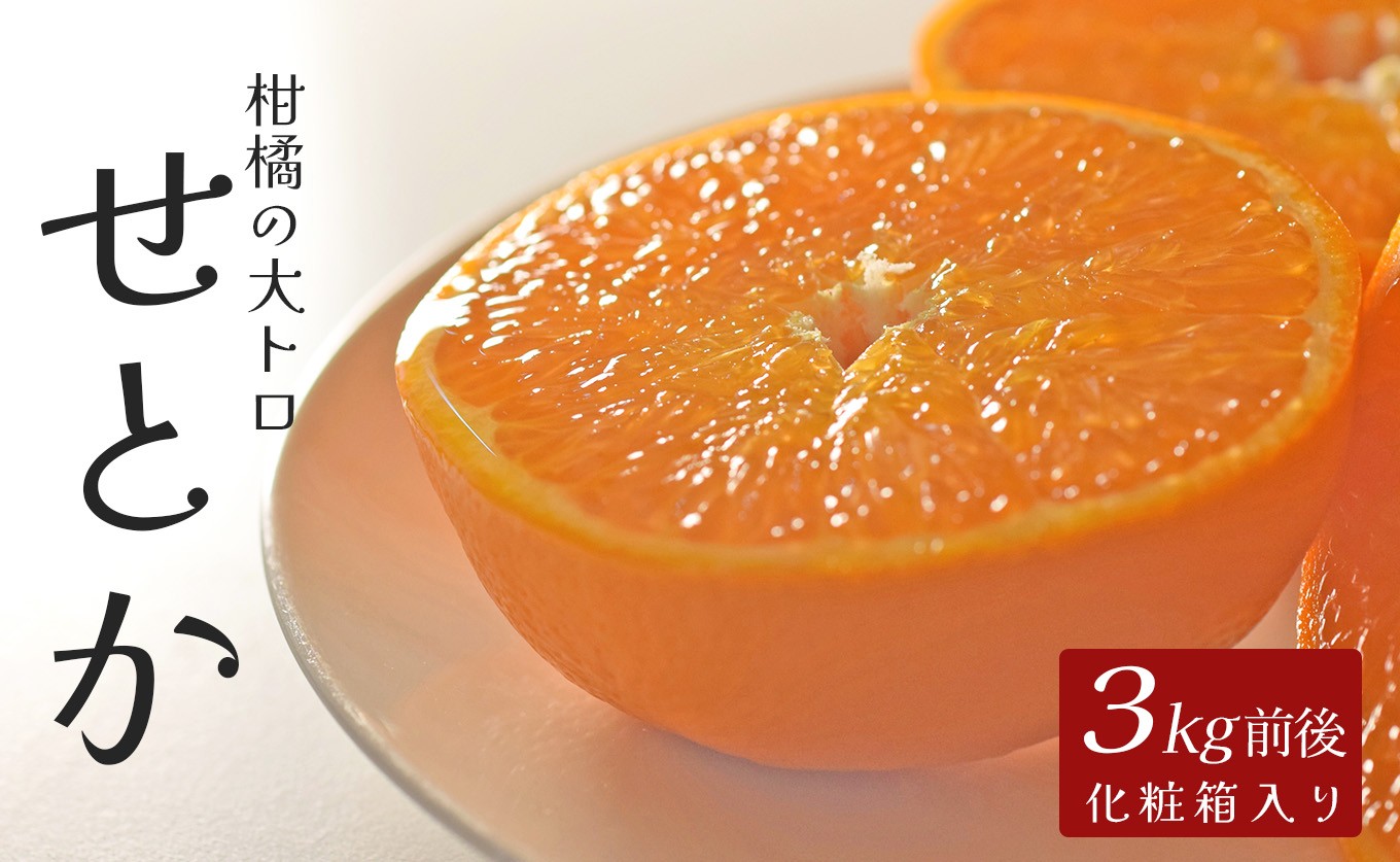 せとか 約3kg 贈答用 高知県産 ハウス栽培｜ハウスみかん 甘い 濃厚 ジューシー 香り豊か 希少 柑橘 柑橘の大トロ 化粧箱 果物 フルーツ プレミアム 国産 大月町 人気 美味しい おいしい おすすめ 旬 旬の果物 旬のフルーツ