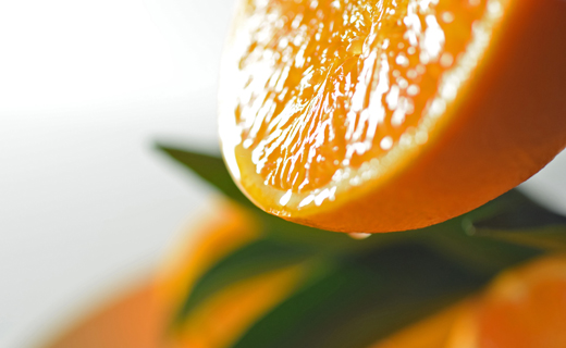 せとか 約3kg 贈答用 高知県産 ハウス栽培｜ハウスみかん 甘い 濃厚 ジューシー 香り豊か 希少 柑橘 柑橘の大トロ 化粧箱 果物 フルーツ プレミアム 国産 大月町 人気 美味しい おいしい おすすめ 旬 旬の果物 旬のフルーツ