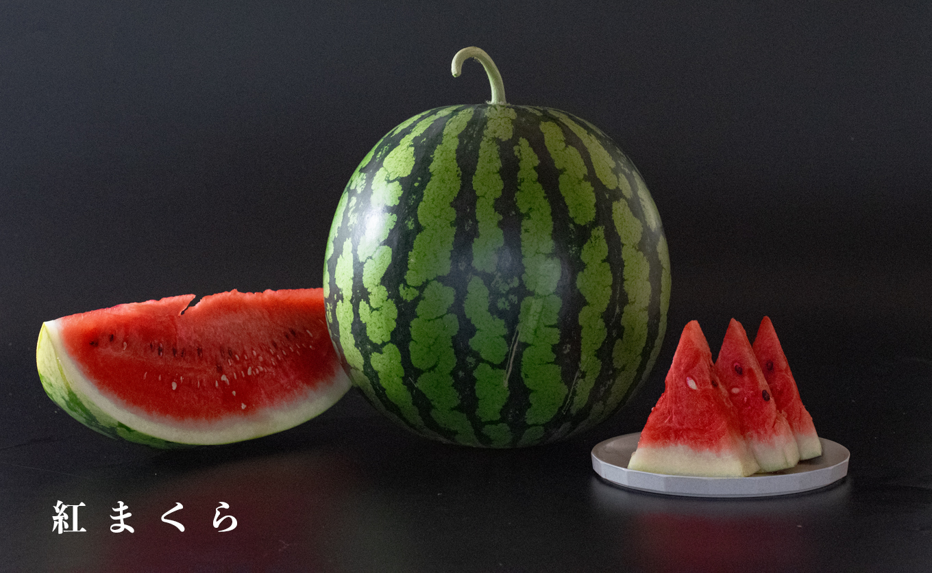 朝採れ すいか 1玉 大玉スイカ （6kg以上）【先行予約 7月中旬頃より発送】 甘い あまい スイカ 西瓜 紅まくら ブラックジャック 種なし 新鮮 旬 果物 フルーツ 野菜 朝穫り 期間限定 夏ギフト お中元 兼松農園 高知県  大月町産