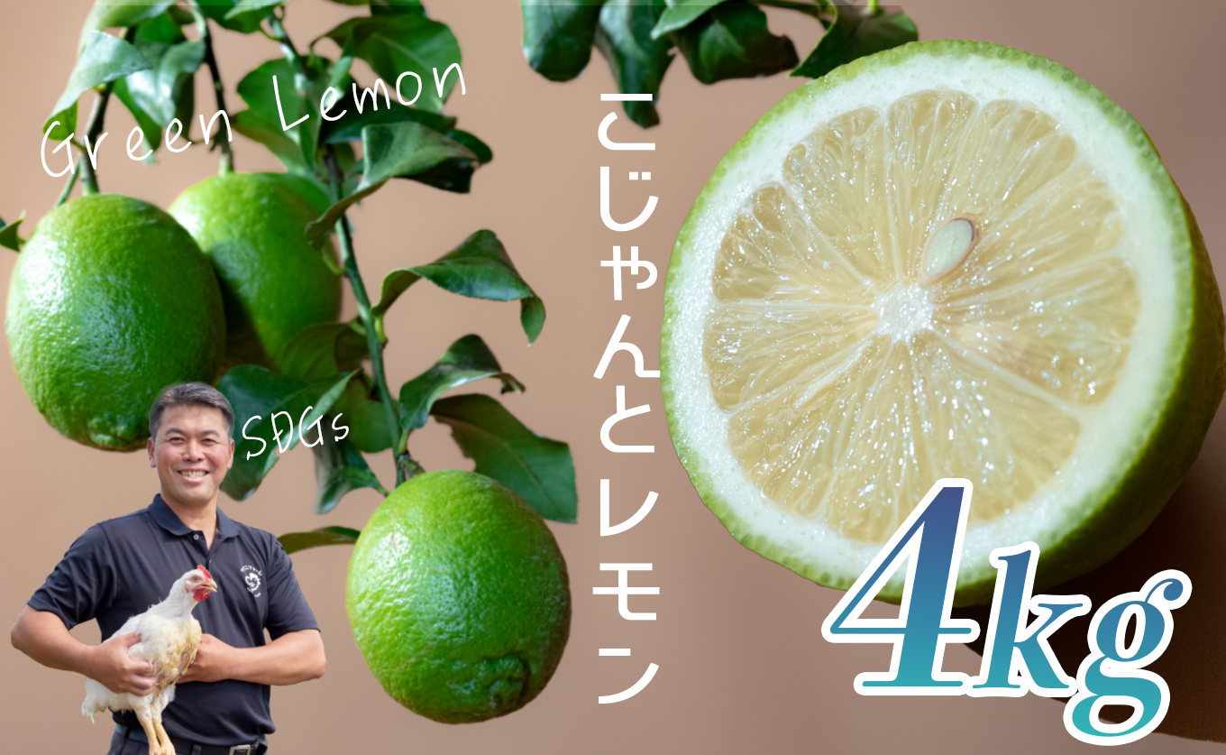 こじゃんとレモン 4kg｜国産 高知県 大月町 レモン 檸檬 レモン水 フルーツ グリーンレモン イエローレモン 果実 柑橘 新鮮 ビタミンC 採れたて フレッシュ 季節の果物 産地直送 美容 健康 安心安全 国産レモン ギフト おすすめ