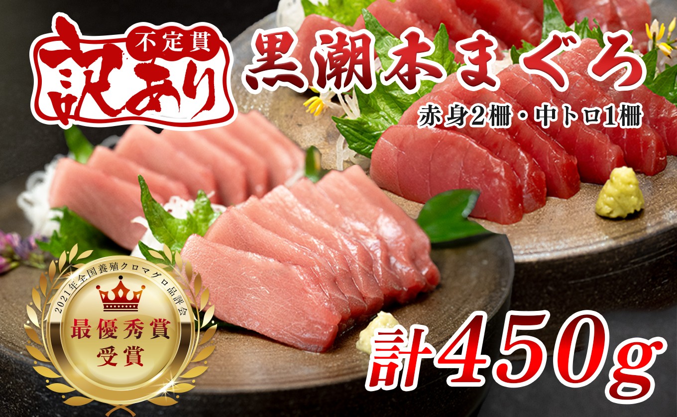 【訳アリ】養殖本マグロ 赤身 中トロセット 450g 黒潮本まぐろ｜不定貫 不揃い 2種 刺身用 家庭用 養殖まぐろ 最優秀賞受賞 日本一 配達日指定可 本まぐろ まぐろ 鮪 訳あり ワケあり 小分け 丼 寿司 海鮮 魚 柵 産地直送 高知県 大月町