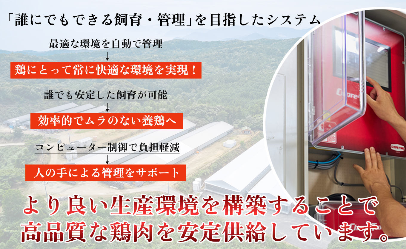 国産 よさこい尾鶏 チキンスペアリブ 1.6kg 大容量 旨辛 スパイシー ビールに合う ビール おつまみ 晩酌 酒の肴 おかず 弁当 レンジ レンチン 時短 タイパ 簡単調理 手羽中 唐揚げ 揚げ物 とり肉 鶏肉 フライドチキン 冷凍 高知県 大月町
