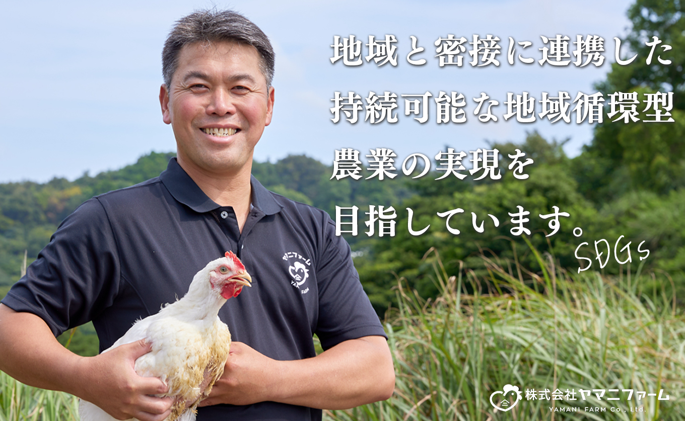 国産 よさこい尾鶏 チキンスペアリブ 1.6kg 大容量 旨辛 スパイシー ビールに合う ビール おつまみ 晩酌 酒の肴 おかず 弁当 レンジ レンチン 時短 タイパ 簡単調理 手羽中 唐揚げ 揚げ物 とり肉 鶏肉 フライドチキン 冷凍 高知県 大月町