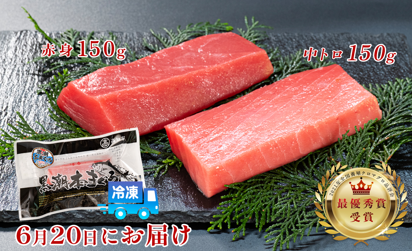 【父の日・6月20日お届け限定】本マグロ 本鮪 まぐろ 中トロ 赤身 食べ比べ 養殖 刺身 さしみ ネギトロ ねぎとろ 漬け丼 ユッケ 寿司 海鮮ギフト 魚介 日本一 全国養殖クロマグロ品評会 ランキング 1位 高知県 大月町 