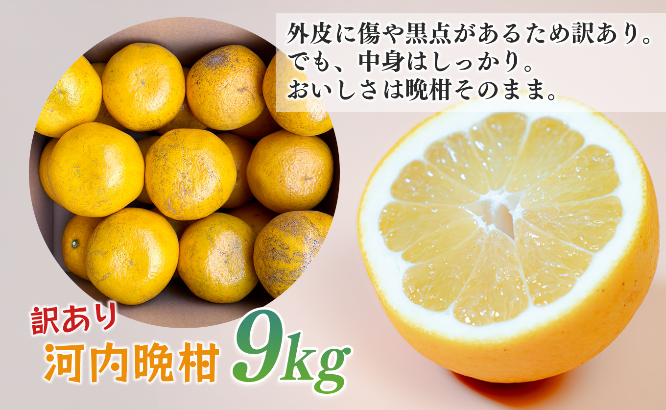 【訳あり】 河内晩柑 9kg （M～5L） 大容量 ばんかん 晩柑 バンカン 夏文旦 家庭用 みかん 蜜柑 柑橘 フルーツ 果物 サイズミックス 初夏 夏 ジュース お酒 お取り寄せ ビタミン 高知県 大月町 龍馬がゆく園芸