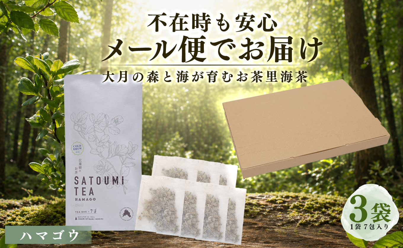 広葉樹のお茶 里海茶 ハマゴウ 3袋 21パック入り カフェインフリー ハマゴウティー お茶 ティー ティーパック 自然栽培 野草茶 ボタニカルティー 飲料 高知県 大月町