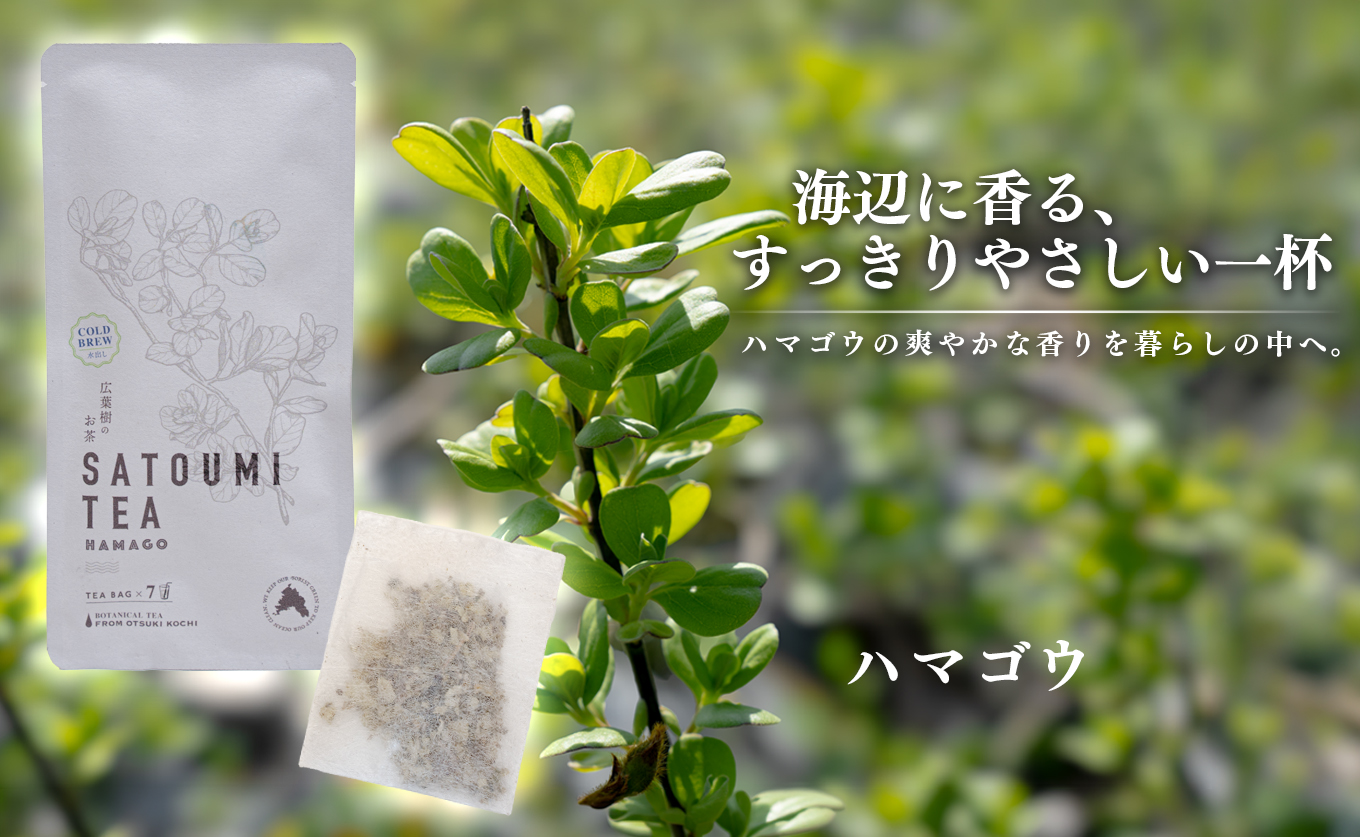 åºèæš¹ã®ãè¶ éæµ·è¶ ãããŽãŠ 4è¢ 28ããã¯å
¥ã ãã¬ã³ã ã«ãã§ã€ã³ããªãŒ ãããŽãŠãã£ãŒ ãè¶ ãã£ãŒ ãã£ãŒãã㯠èªç¶æ œå¹ éèè¶ ãã¿ãã«ã«ãã£ãŒ 飲æ é«ç¥ç 倧æçº