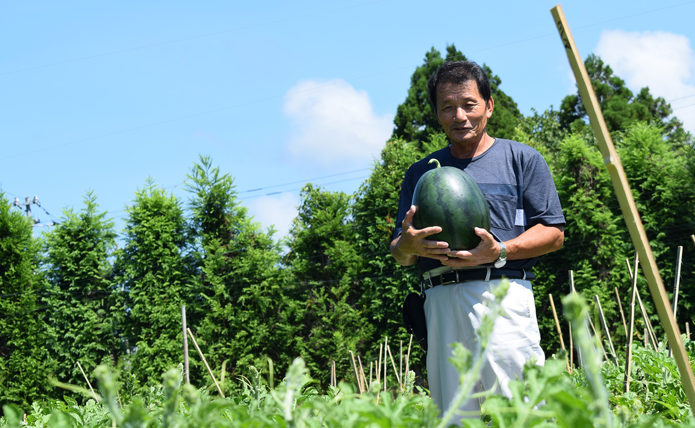 抜群の甘さ！ スイカ 2玉 大玉 (6kg以上) 甘い 高糖度 西瓜 すいか 種なし 縞スイカ 黒玉 ギフト お中元 御中元 産地直送 旬 果物 フルーツ 取り寄せ ねばねばファーム 高知県 大月町産