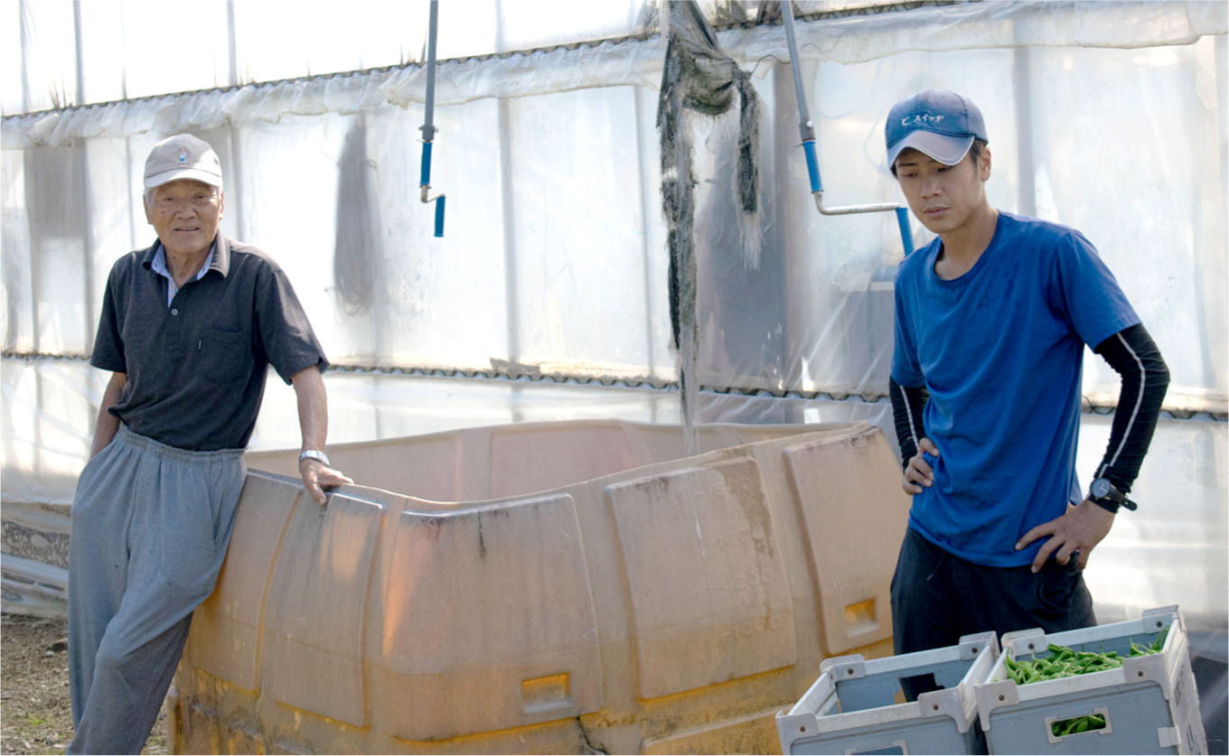 朝採れ すいか 2玉 大玉スイカ （6kg以上） 【先行予約 7月中旬頃より発送】 甘い あまい スイカ 西瓜 紅まくら ブラックジャック 種なし 新鮮 旬 果物 フルーツ 野菜 朝穫り 期間限定 夏ギフト お中元 兼松農園 高知県  大月町産