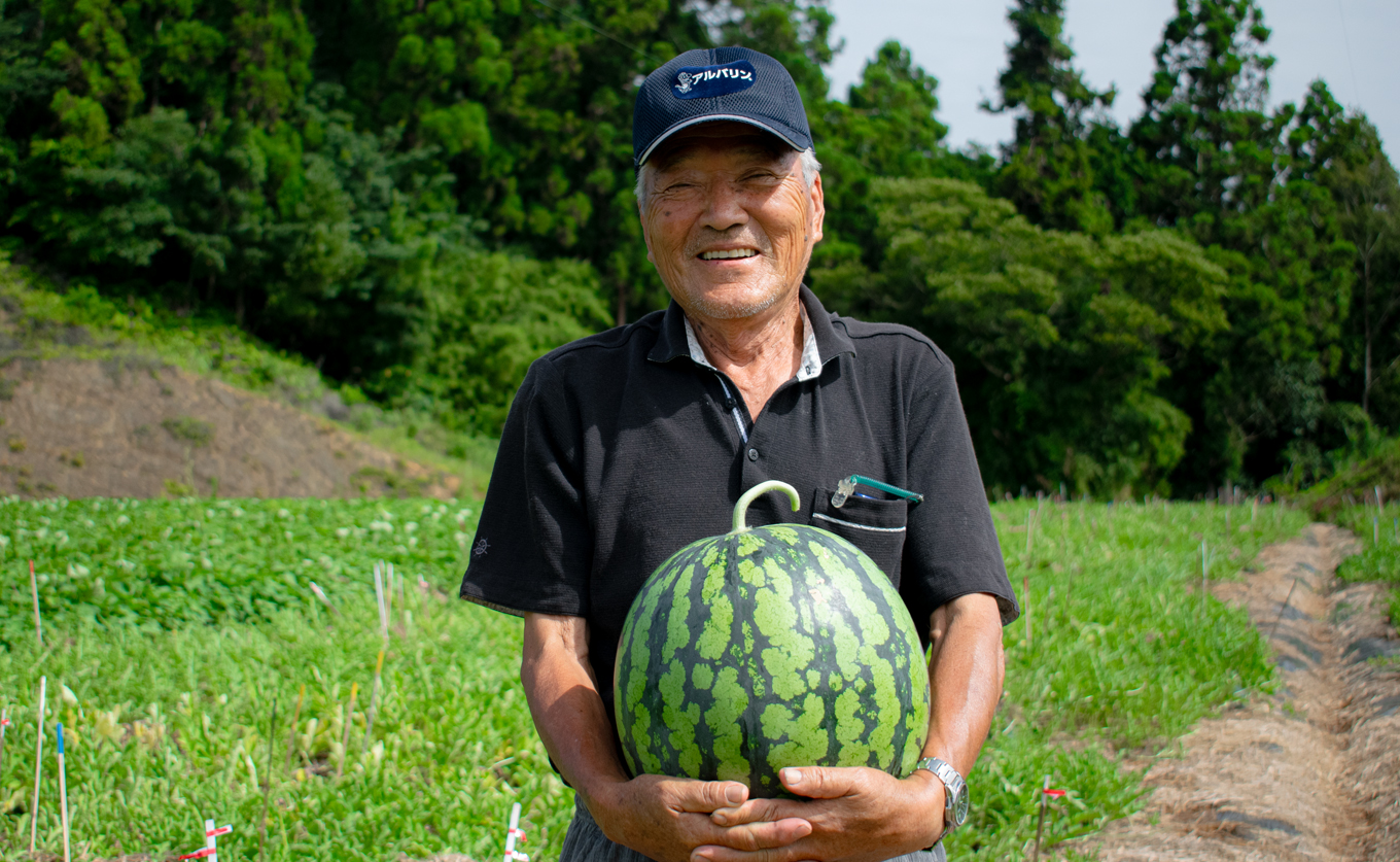 朝採れ すいか 2玉 大玉スイカ （6kg以上） 【先行予約 7月中旬頃より発送】 甘い あまい スイカ 西瓜 紅まくら ブラックジャック 種なし 新鮮 旬 果物 フルーツ 野菜 朝穫り 期間限定 夏ギフト お中元 兼松農園 高知県  大月町産