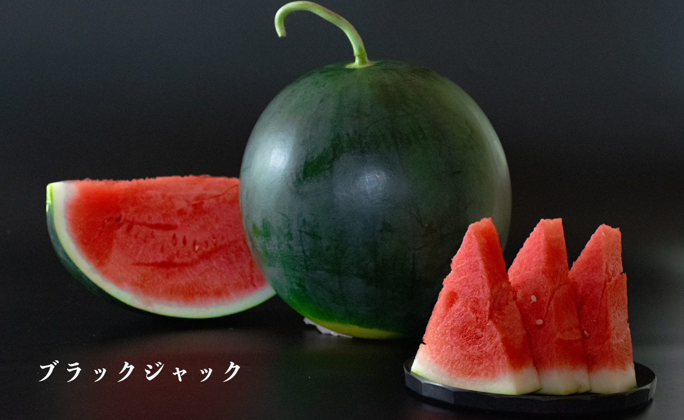 朝採れ すいか 2玉 大玉スイカ （6kg以上） 【先行予約 7月中旬頃より発送】 甘い あまい スイカ 西瓜 紅まくら ブラックジャック 種なし 新鮮 旬 果物 フルーツ 野菜 朝穫り 期間限定 夏ギフト お中元 兼松農園 高知県  大月町産