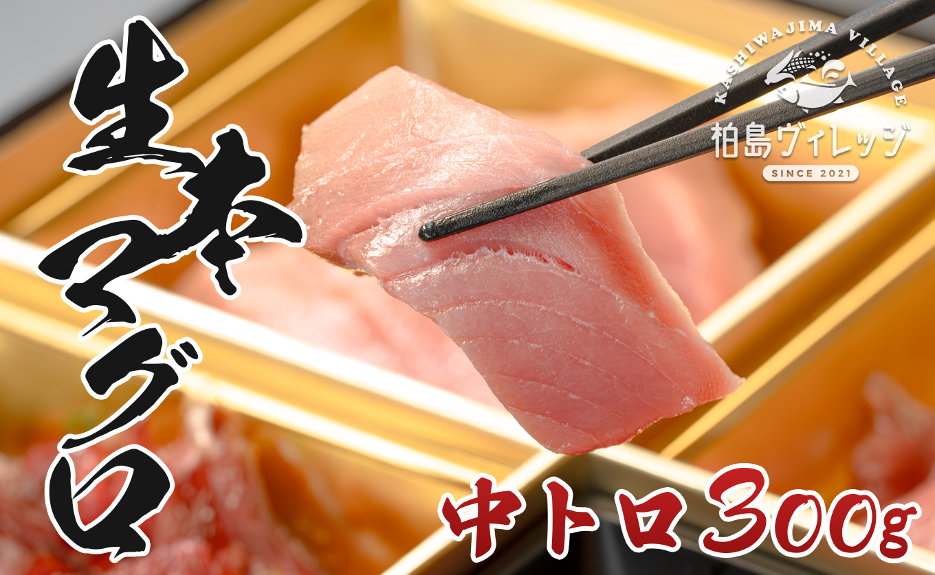養殖 生本マグロ 中トロ 刺身用 300g 生食用 冷蔵 冷凍なし 本まぐろ まぐろ 海鮮 トロ｜マグロ 鮪 魚介 養殖まぐろ 海鮮 ギフト 刺身 寿司 漬け丼 贅沢 高級 極上 グルメ まぐろ丼 海鮮丼 贈答 おすすめ 高知県 大月町 柏島 国産