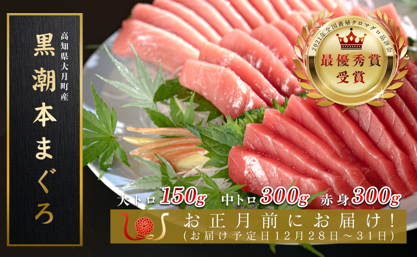 お正月 贅沢 本マグロ お刺身 3種セット 750g  国産 養殖 黒潮本まぐろ｜マグロ 本マグロ 鮪 本まぐろ 赤身 中トロ 大トロ トロ 食べ比べ おせち 年末年始 お歳暮 ごちそう 刺身 海鮮 高級 最優秀賞 高知県 大月町