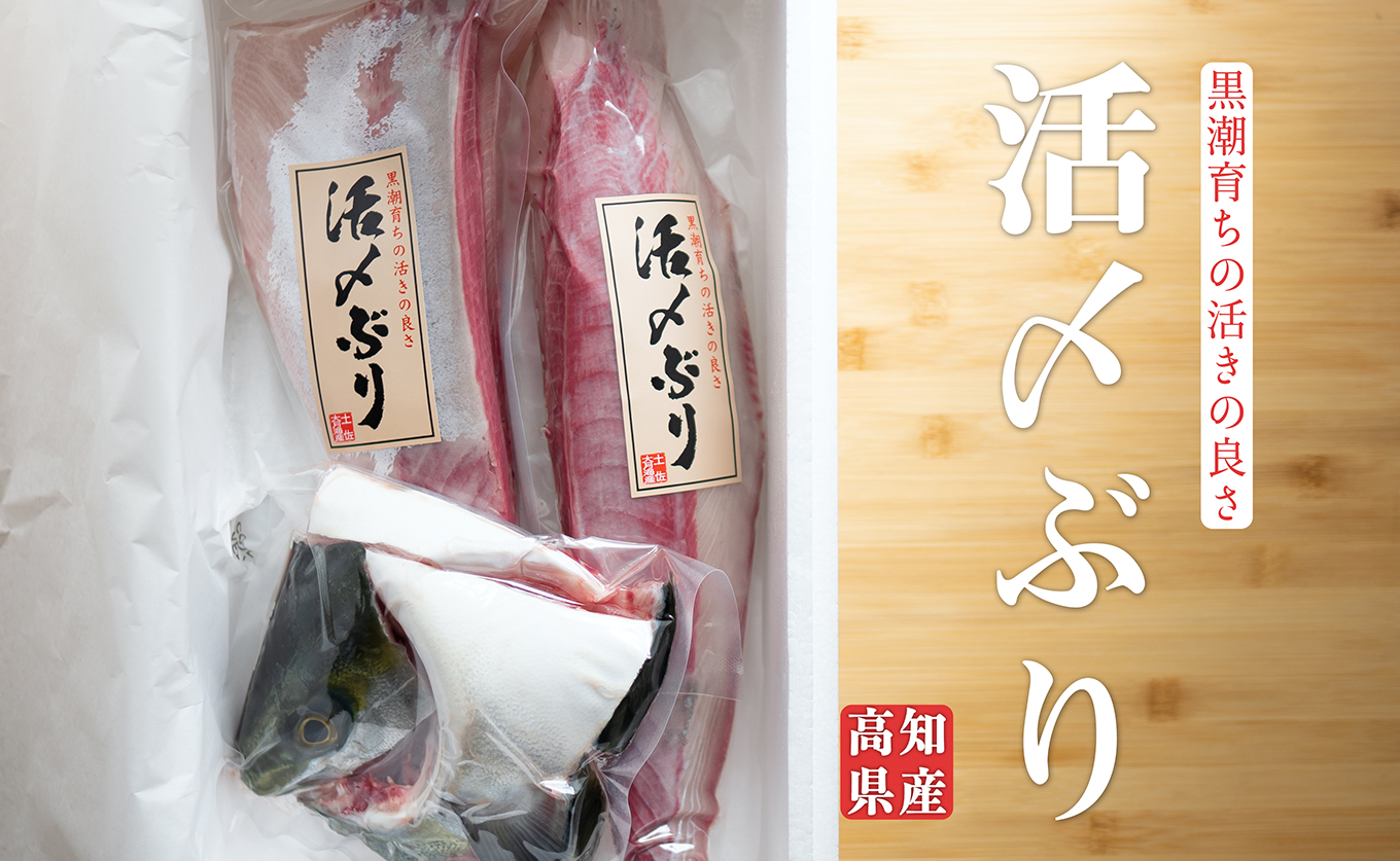 高知県産 ぶり 半身 活〆 1kg～ 鰤 ブリ 刺身 冷蔵｜新鮮 脂のり お刺身 刺し身 さしみ 煮付け ぶりしゃぶ ぶり大根 お正月 年末配送 鮮魚 海鮮 海鮮丼 海鮮グルメ 年末年始 おせち 贈答 ギフト 産地直送 高知 大月町 国産