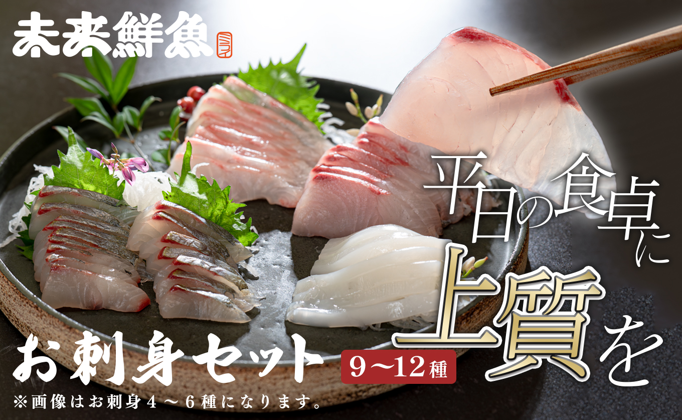 旬のお刺身用 柵セット 9～12種 高知県産 刺身 盛り合わせ｜食べ比べ 刺身セット 鮮度抜群 産地直送 海の幸 海鮮 魚介 新鮮 おつまみ 酒 海鮮丼 寿司 厳選 ギフト おすすめ 人気 刺し身 さしみ お中元 お歳暮 カルパッチョ お取り寄せ