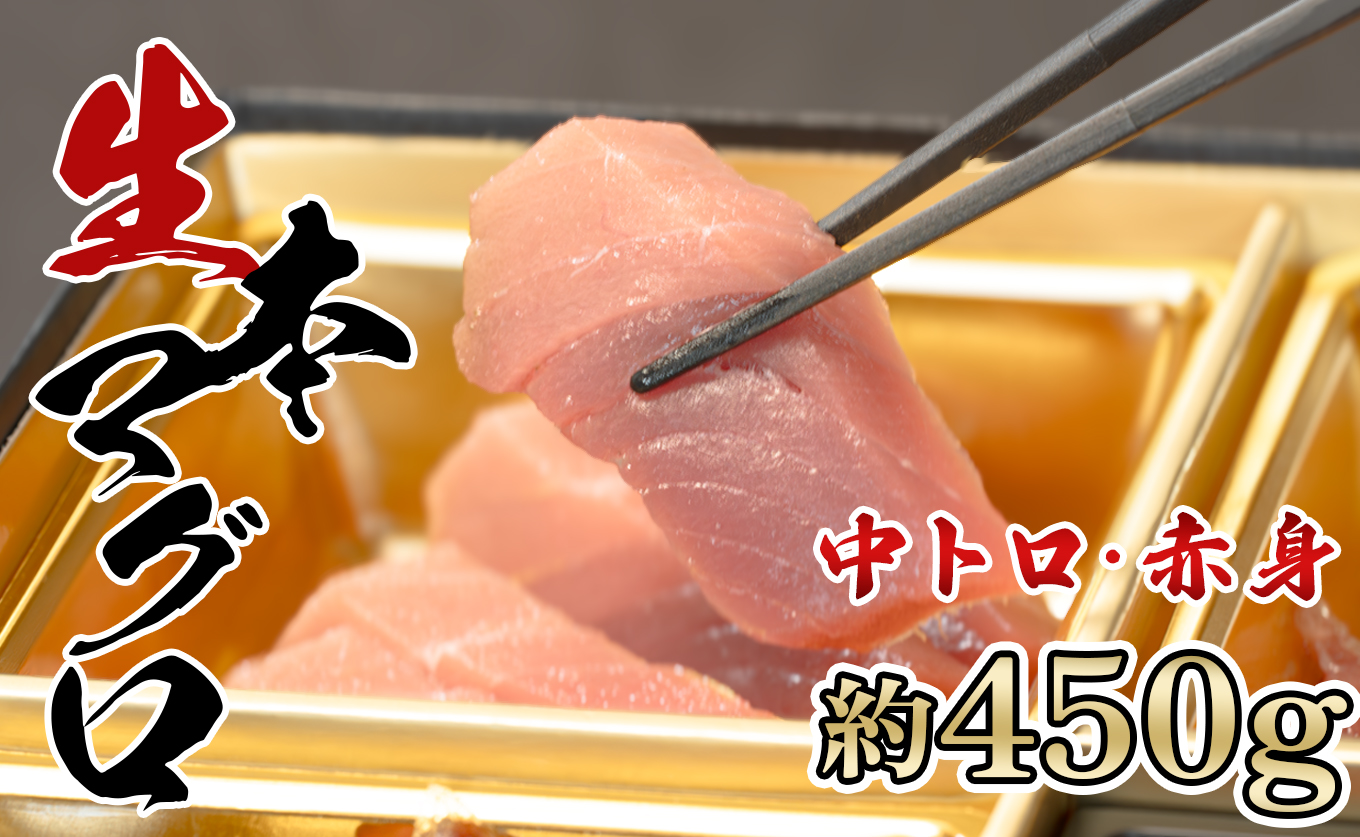 生 本マグロ 中トロ 赤身 刺身 約450g 養殖 本まぐろ｜本鮪 お刺身 刺し身 贈答用 ギフト セット 贈り物 年末 小分け トロ とろ ランキング 高知 真空 冷蔵 豪華 おすすめ 海鮮丼 マグロ丼 鮮度抜群 新鮮 贅沢 豪華 グルメ