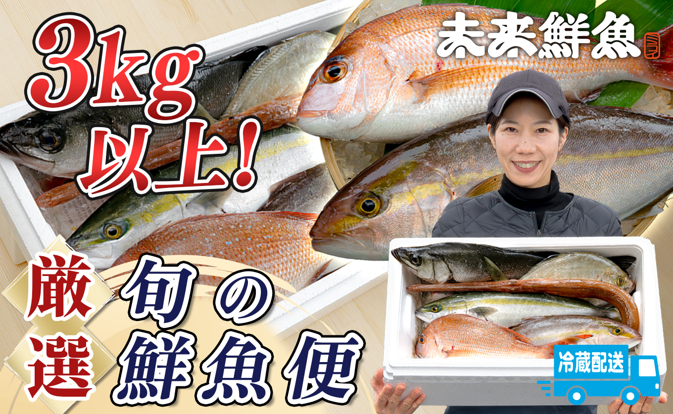 鮮魚 3kg～ 鮮魚ボックス 詰め合わせ 刺身 刺し身 さしみ 海鮮丼 寿司 鮮度抜群 産地直送 海の幸 海鮮 魚介 新鮮 厳選 ギフト お取り寄せ おすすめ 人気 お中元 お歳暮 高知県産