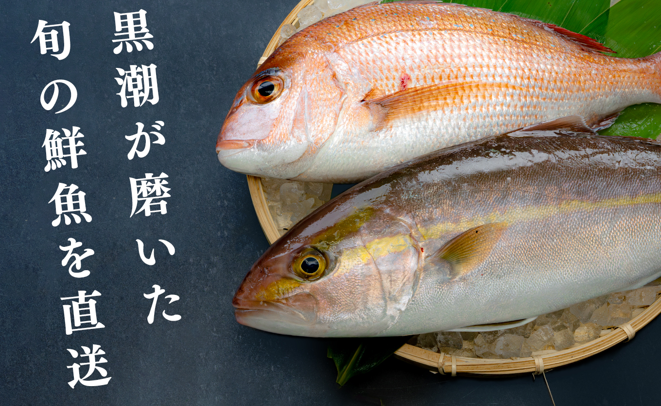 鮮魚 3kg～ 鮮魚ボックス 詰め合わせ 刺身 刺し身 さしみ 海鮮丼 寿司 鮮度抜群 産地直送 海の幸 海鮮 魚介 新鮮 厳選 ギフト お取り寄せ おすすめ 人気 お中元 お歳暮 高知県産