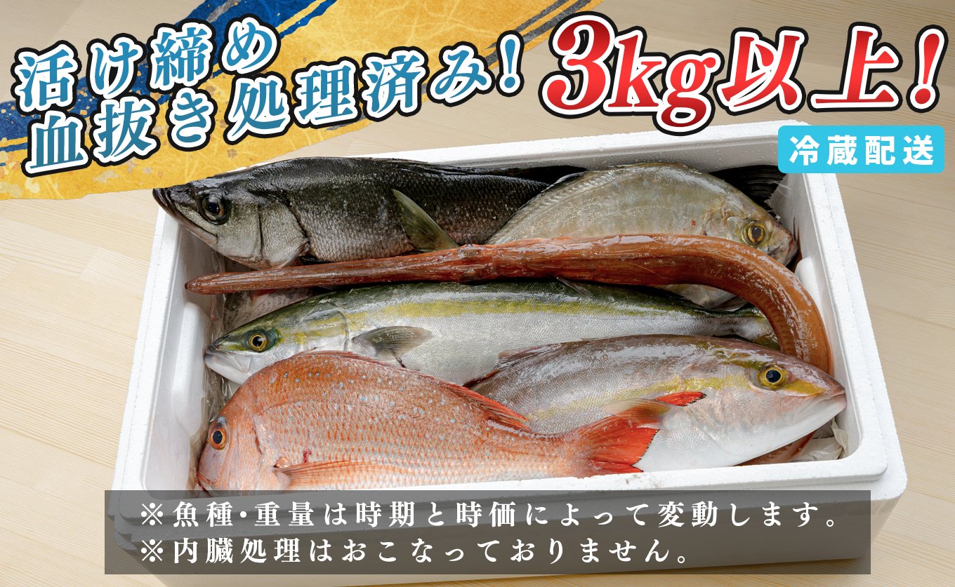 鮮魚 3kg～ 鮮魚ボックス 詰め合わせ 刺身 刺し身 さしみ 海鮮丼 寿司 鮮度抜群 産地直送 海の幸 海鮮 魚介 新鮮 厳選 ギフト お取り寄せ おすすめ 人気 お中元 お歳暮 高知県産
