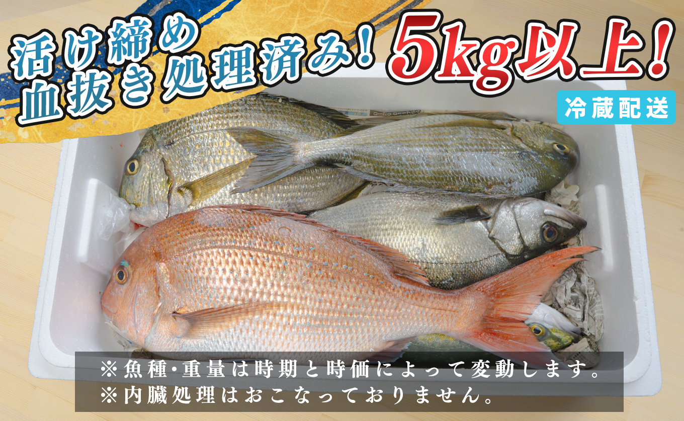 鮮魚 5kg～ 鮮魚ボックス 詰め合わせ 刺身 刺し身 さしみ 海鮮丼 寿司 鮮度抜群 産地直送 海の幸 海鮮 魚介 新鮮 厳選 ギフト お取り寄せ おすすめ 人気 お中元 お歳暮 高知県産