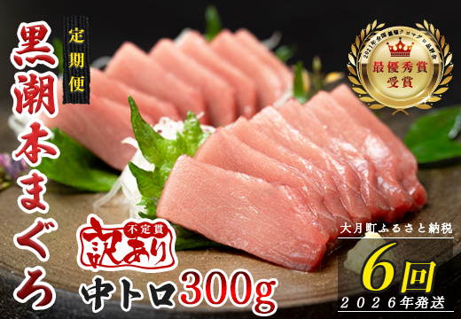 【定期便 6回】高知県産 本マグロ 中トロ 養殖 2柵 300g (不定貫)