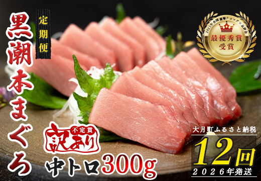 【定期便 12回】高知県産 本マグロ 中トロ 養殖 2柵 300g (不定貫)