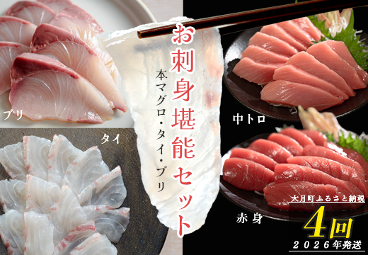 【定期便 4回】本マグロ タイ ブリ 刺身 本まぐろ 真鯛 ぶり 堪能セット 海鮮セット 産地直送 お刺身セット 新鮮 魚介 冷凍 真空パック 高知県 大月町