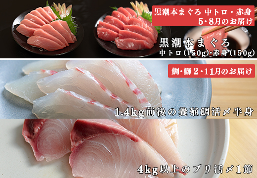 ãå®æäŸ¿ 4åãæ¬ãã°ã ã¿ã€ ã㪠åºèº« æ¬ãŸãã çé¯ ã¶ã å ªèœã»ãã æµ·é®®ã»ãã ç£å°çŽé ãåºèº«ã»ãã æ°é®® éä» å·å ç空ãã㯠é«ç¥ç 倧æçº