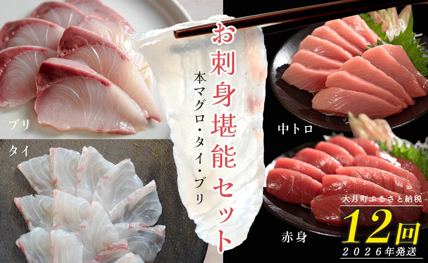 【定期便 12回】本マグロ タイ ブリ 刺身 本まぐろ 真鯛 ぶり 堪能セット 海鮮セット 産地直送 お刺身セット 新鮮 魚介 冷凍 真空パック 高知県 大月町