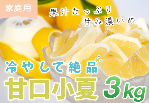 甘口 小夏 3kg 家庭用 日向夏 ニューサマーオレンジ 柑橘 みかん ノーワックス こなつ くだもの 果物 産直 旬の果物 お取り寄せ 産地直送 フルーツ 爽やか スッキリ 甘い 高知県 大月町産 コーラルフルーツ農場