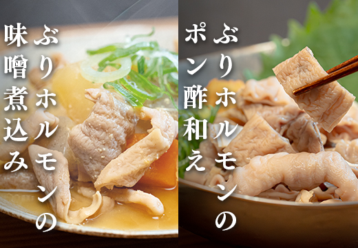 ぶりホルモン 3kg 希少部位 ブリ 鰤 ぶり ブリホルモン 養殖 活締め ホルモン 海鮮 魚介 魚 海産物 冷凍 おつまみ 内臓 珍味 漁師飯 新鮮 下処理済み 産地直送 おいしい 人気 おすすめ 大容量 高知 高知県