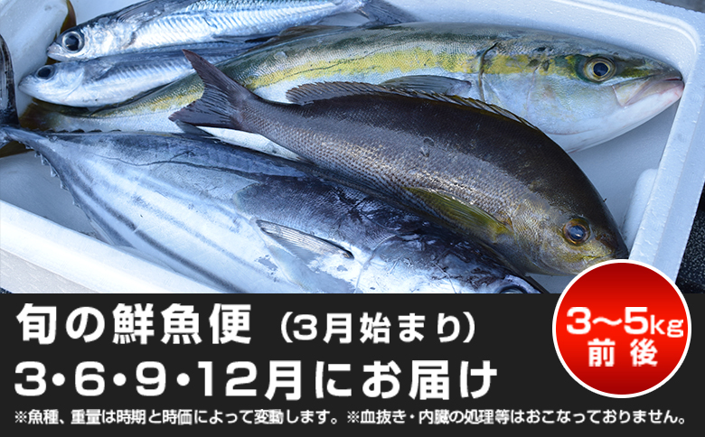 【定期便6回】山田さんちの鮮魚便（偶数月）