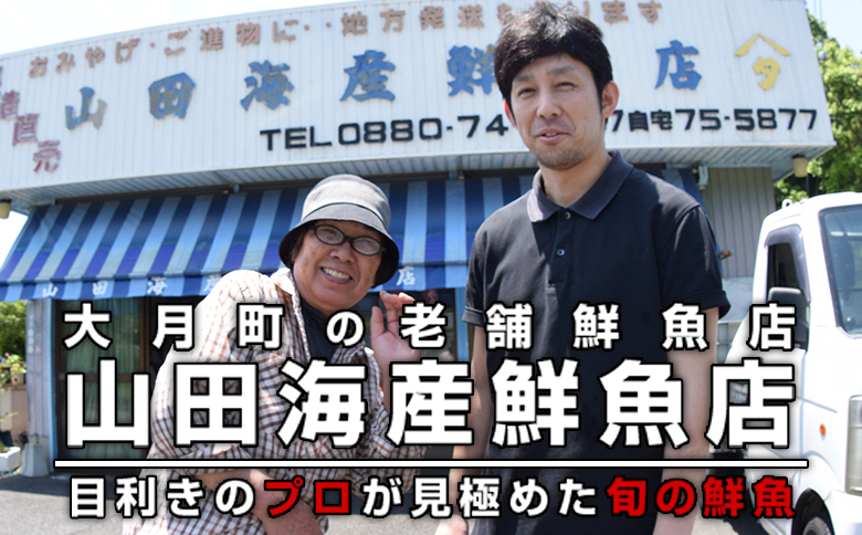 【定期便6回】山田さんちの鮮魚便（奇数月）