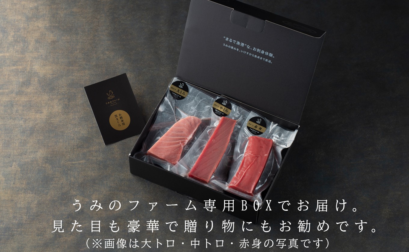 国産 養殖本マグロ 赤身600g｜刺身用 冷凍 まぐろ 鮪 柵 家庭用 夫婦 晩酌 ギフト 御歳暮 御中元 内祝い 手土産 海鮮丼 寿司 手巻き 急速冷凍 解凍簡単 贈答 お祝い 年末年始 産地直送 配達日指定可 うみのファーム 高知県