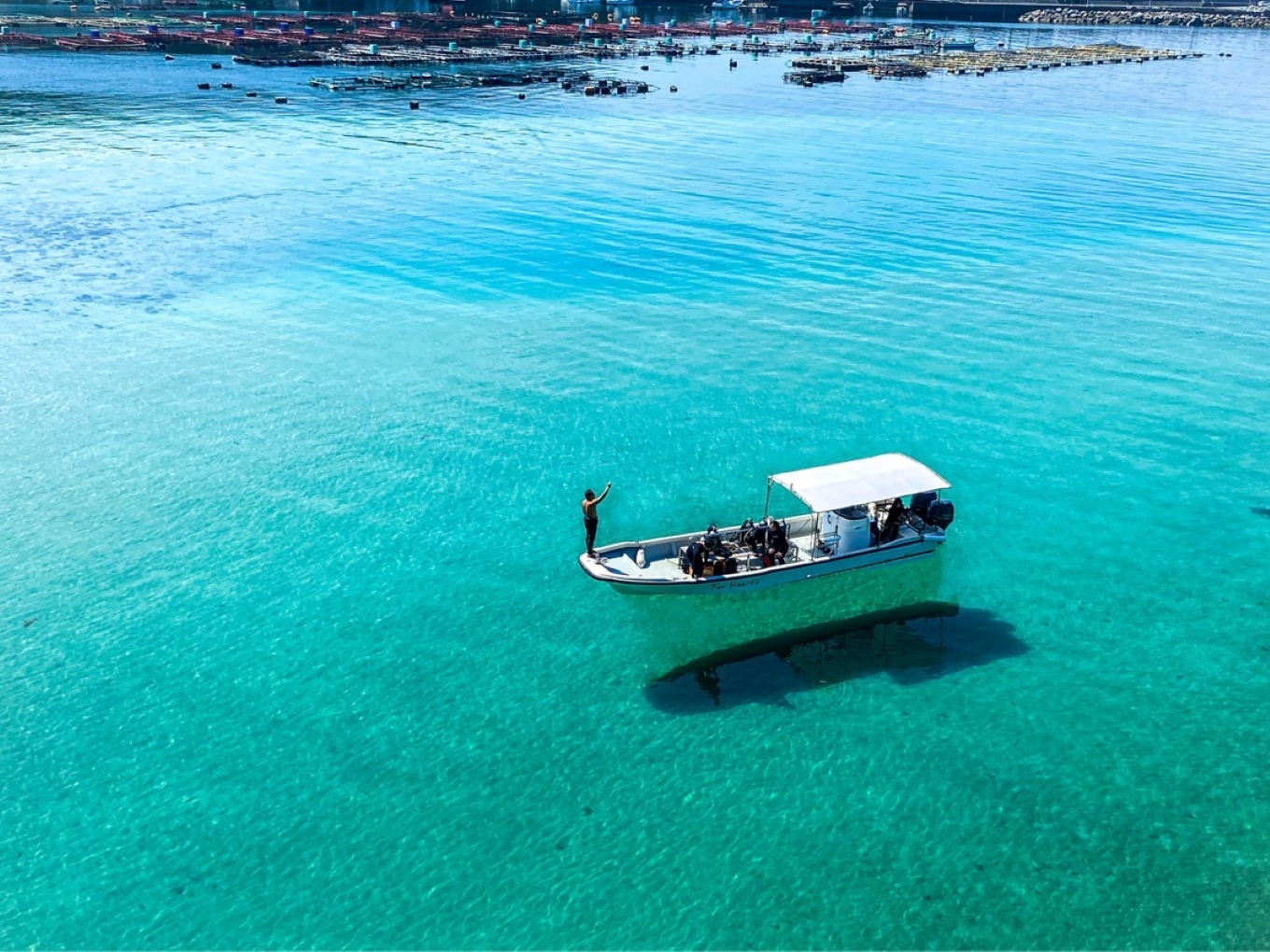 大月町共通ダイビングチケットA